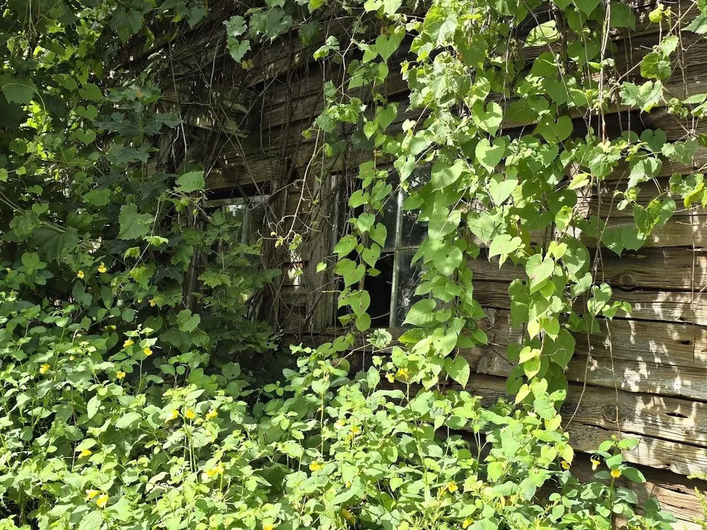 00 Route 346 Pownal VT 05260