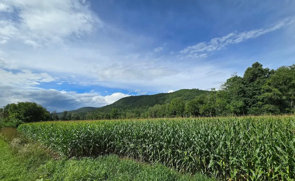 00 Route 346 Pownal VT 05260