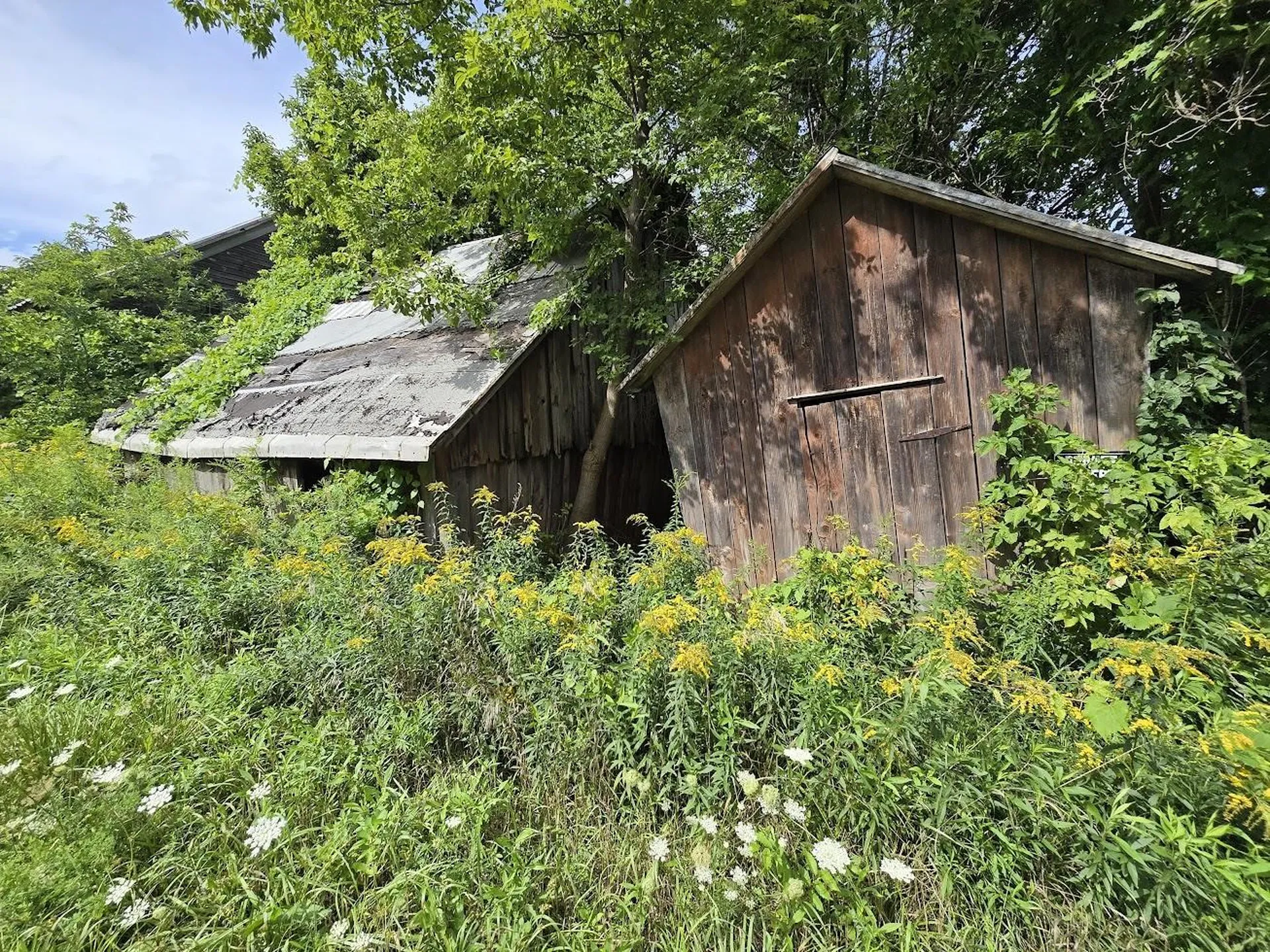 00 Route 346 Pownal VT 05260