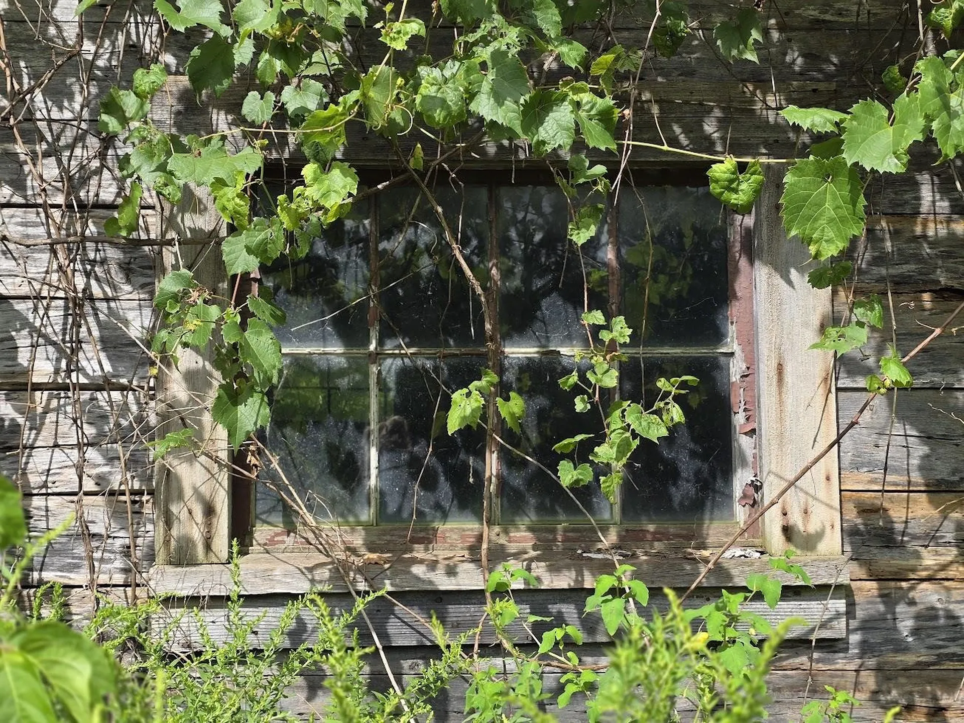 00 Route 346 Pownal VT 05260