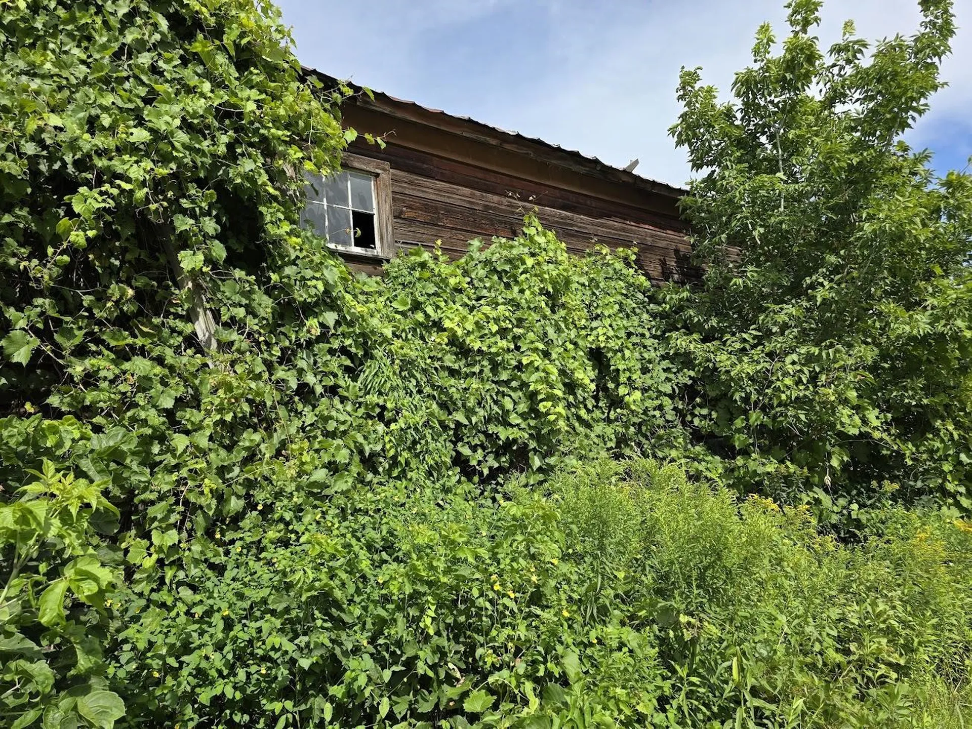 00 Route 346 Pownal VT 05260