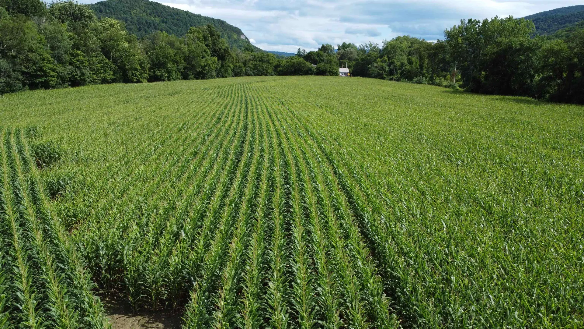 00 Route 346 Pownal VT 05260