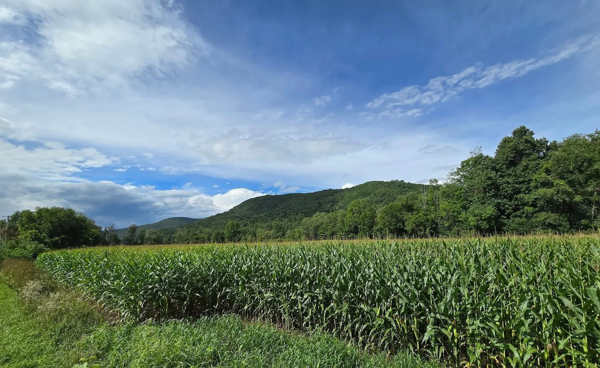 00 Route 346 Pownal VT 05260