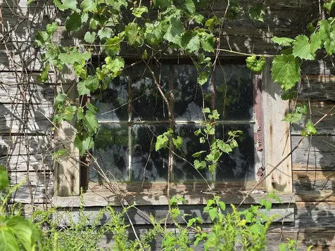 00 Route 346 Pownal VT 05260