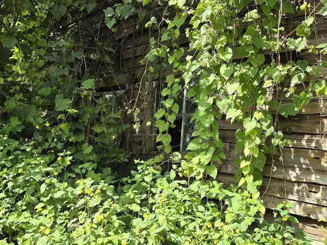 00 Route 346 Pownal VT 05260