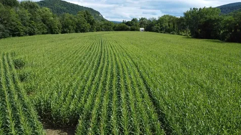 00 Route 346 Pownal VT 05260