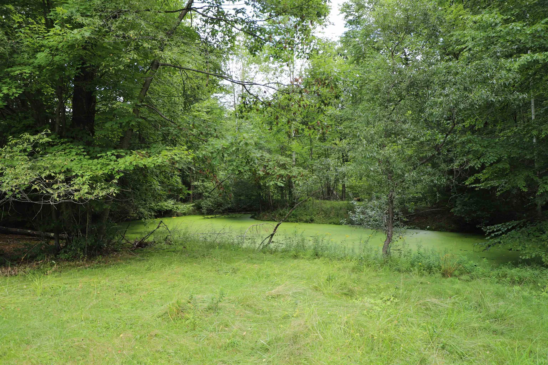 41 Miller Road Athens VT 05143