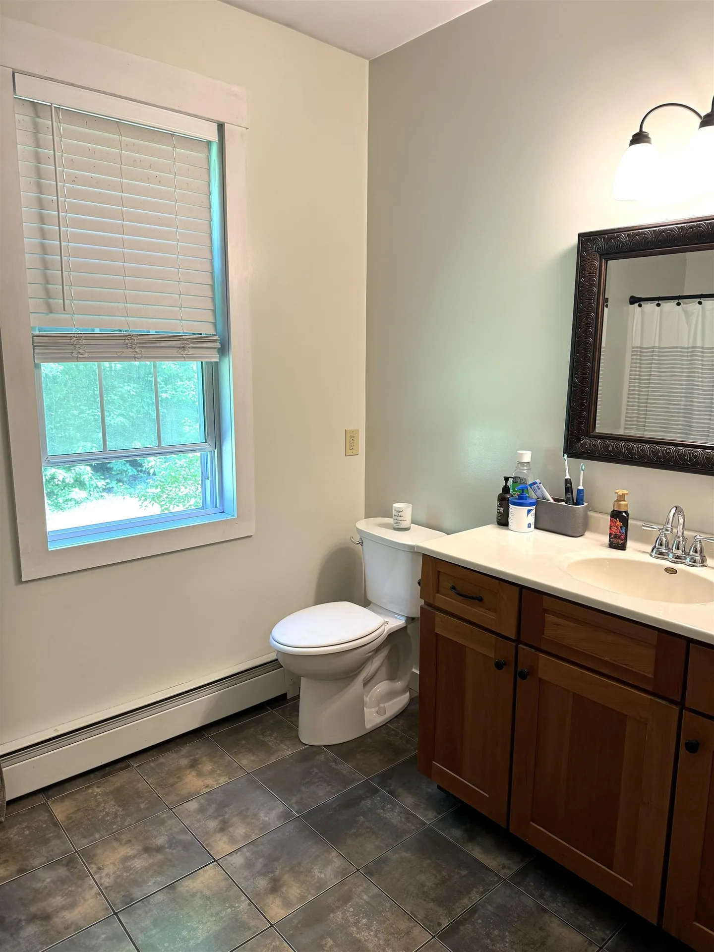 497 N Birch Hill Road Brandon VT 05733