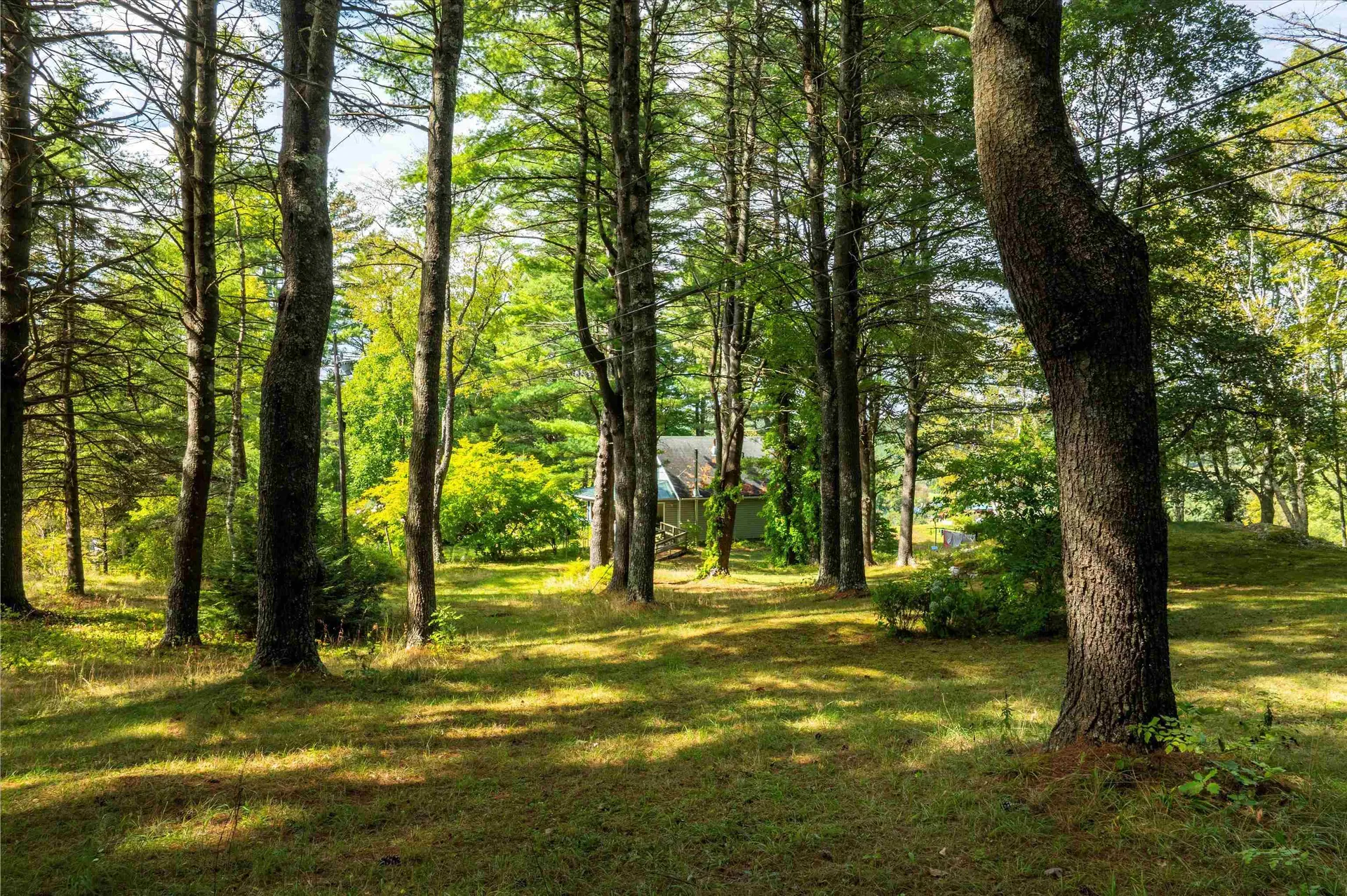 56 Mount Hunger Road Hartland VT 05048