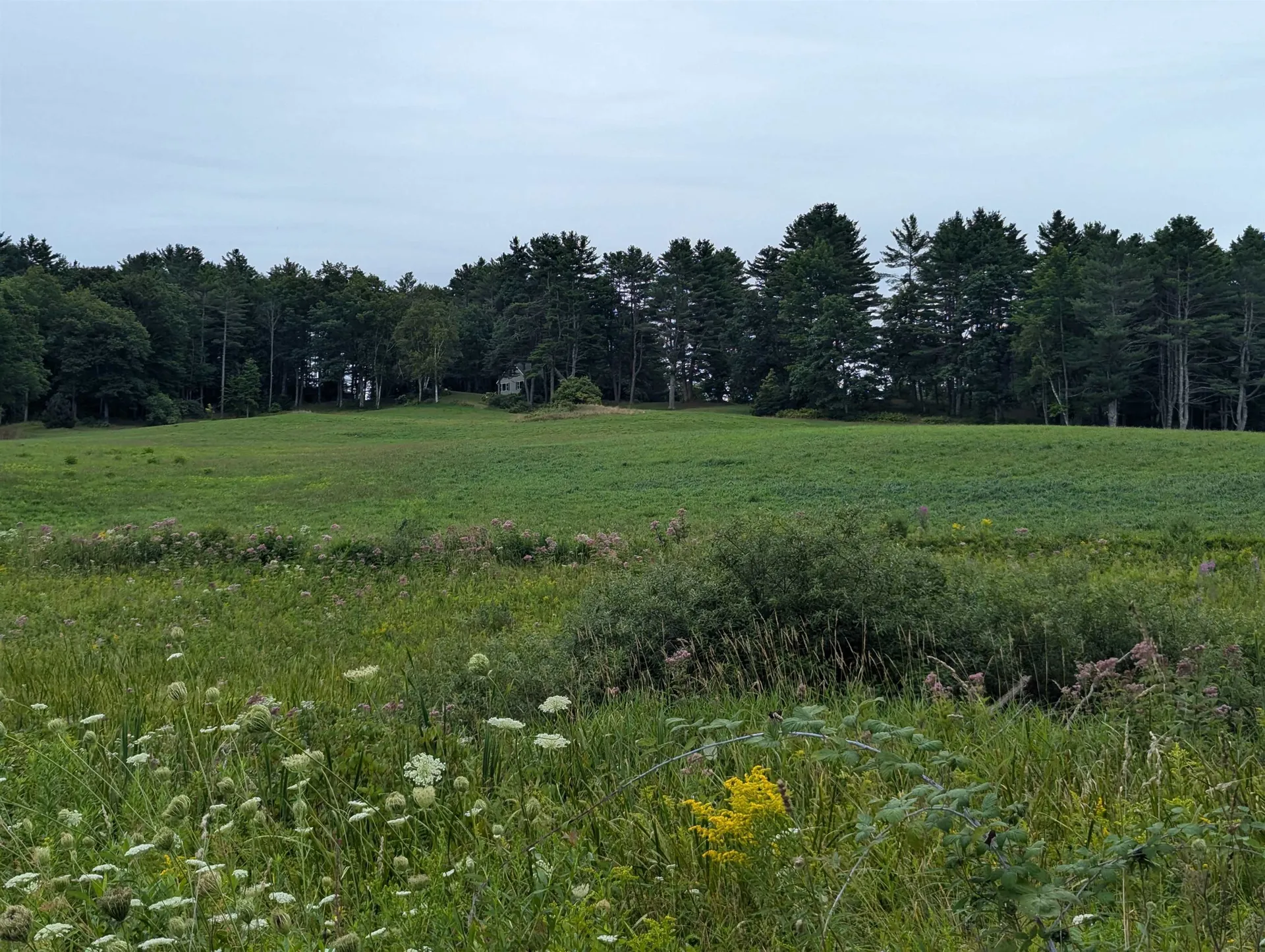 56 Mount Hunger Road Hartland VT 05048