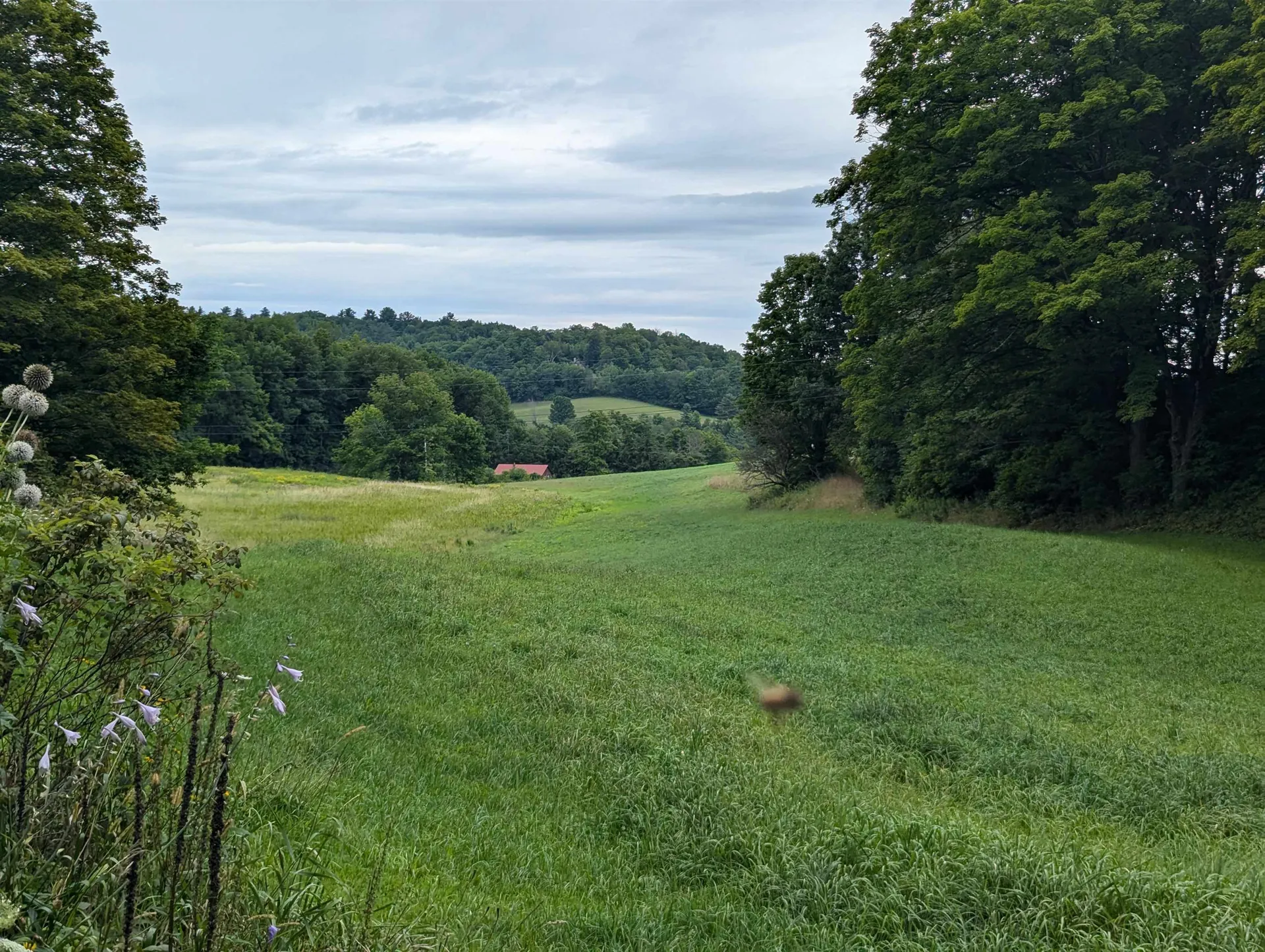 56 Mount Hunger Road Hartland VT 05048