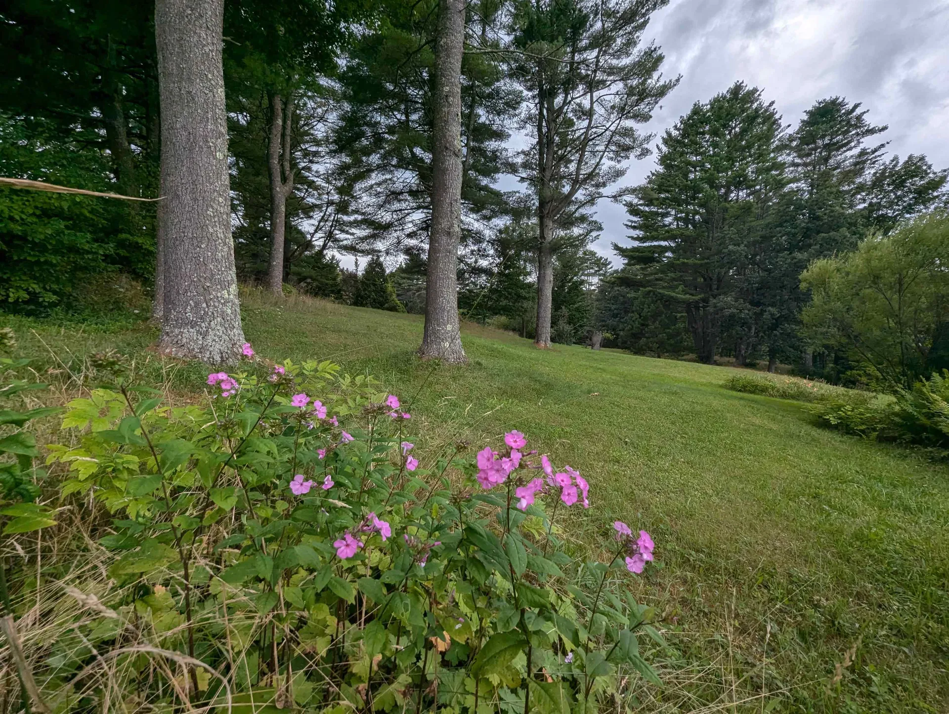 56 Mount Hunger Road Hartland VT 05048