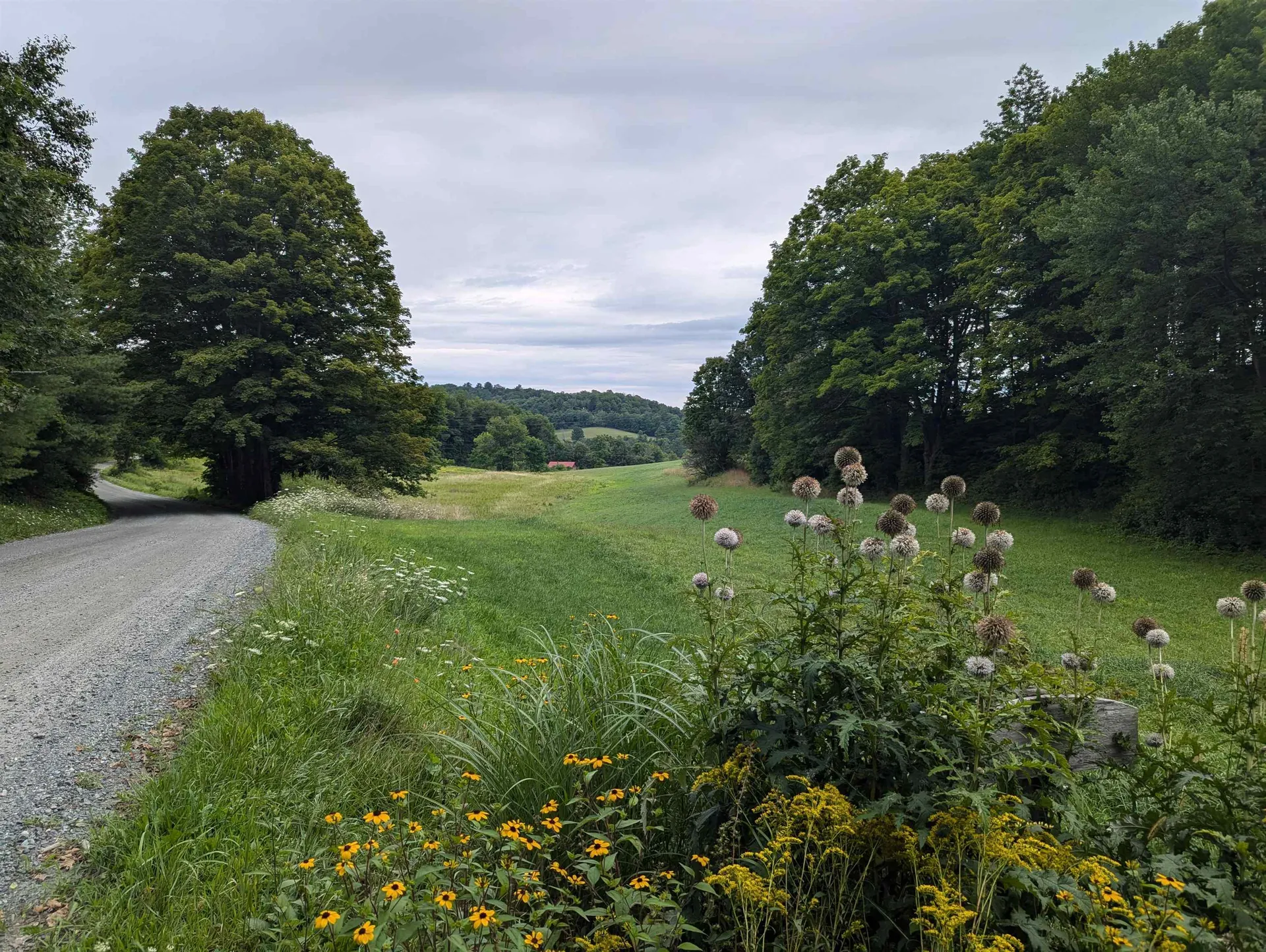 56 Mount Hunger Road Hartland VT 05048