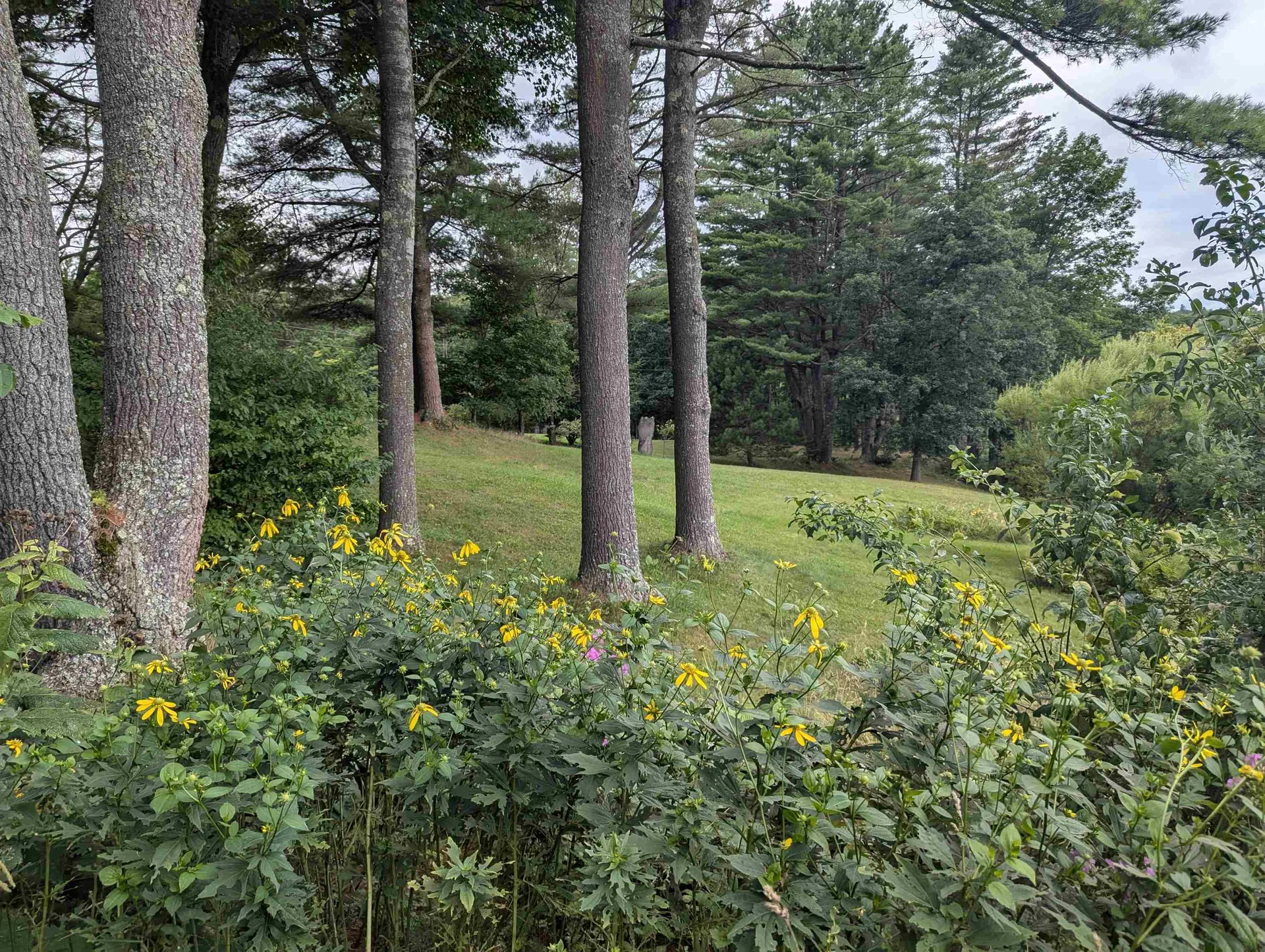 56 Mount Hunger Road Hartland VT 05048