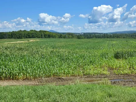 1294 Loop Road Troy VT 05868