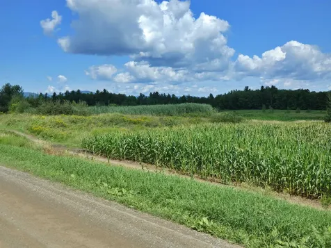 1294 Loop Road Troy VT 05868
