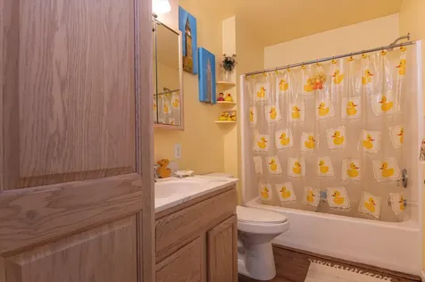 3611 Route 155 Mount Holly VT 05730