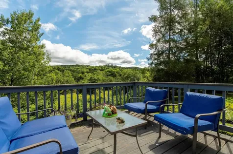 3611 Route 155 Mount Holly VT 05730