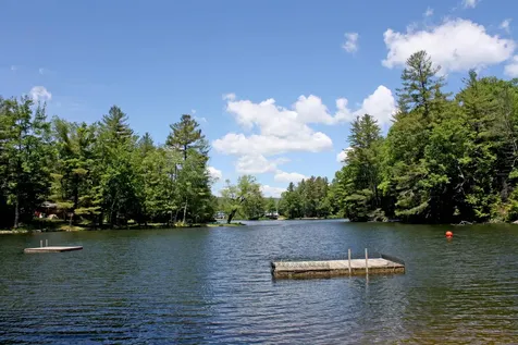 3611 Route 155 Mount Holly VT 05730