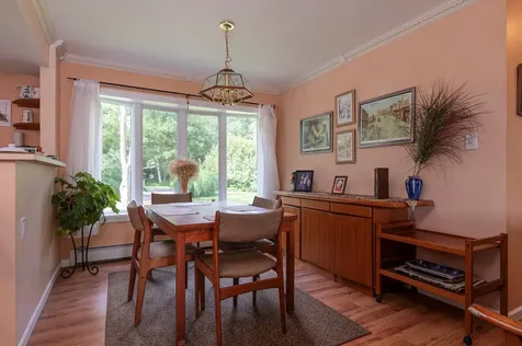 3611 Route 155 Mount Holly VT 05730