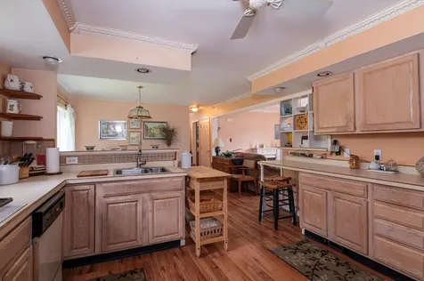 3611 Route 155 Mount Holly VT 05730