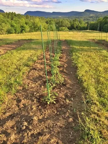 119 Whetstone Lane Brownington VT 05860