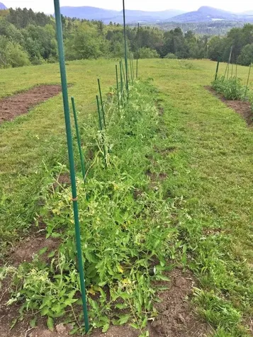 119 Whetstone Lane Brownington VT 05860