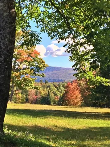 119 Whetstone Lane Brownington VT 05860