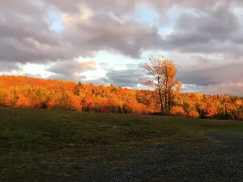 119 Whetstone Lane Brownington VT 05860