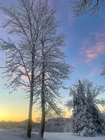 119 Whetstone Lane Brownington VT 05860