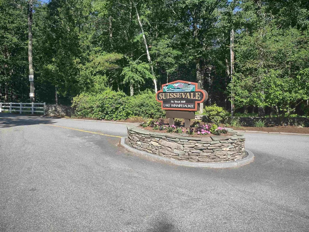 Sundorf Street Moultonborough NH 03254