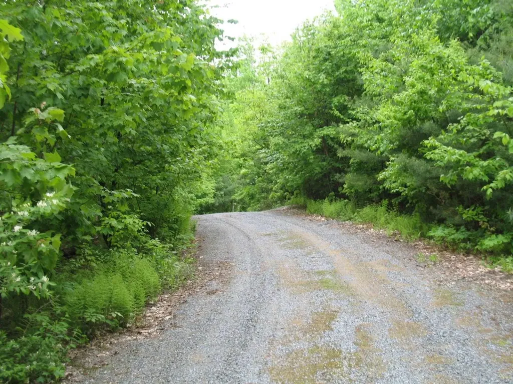 288 Graves Road Baltimore VT 05143