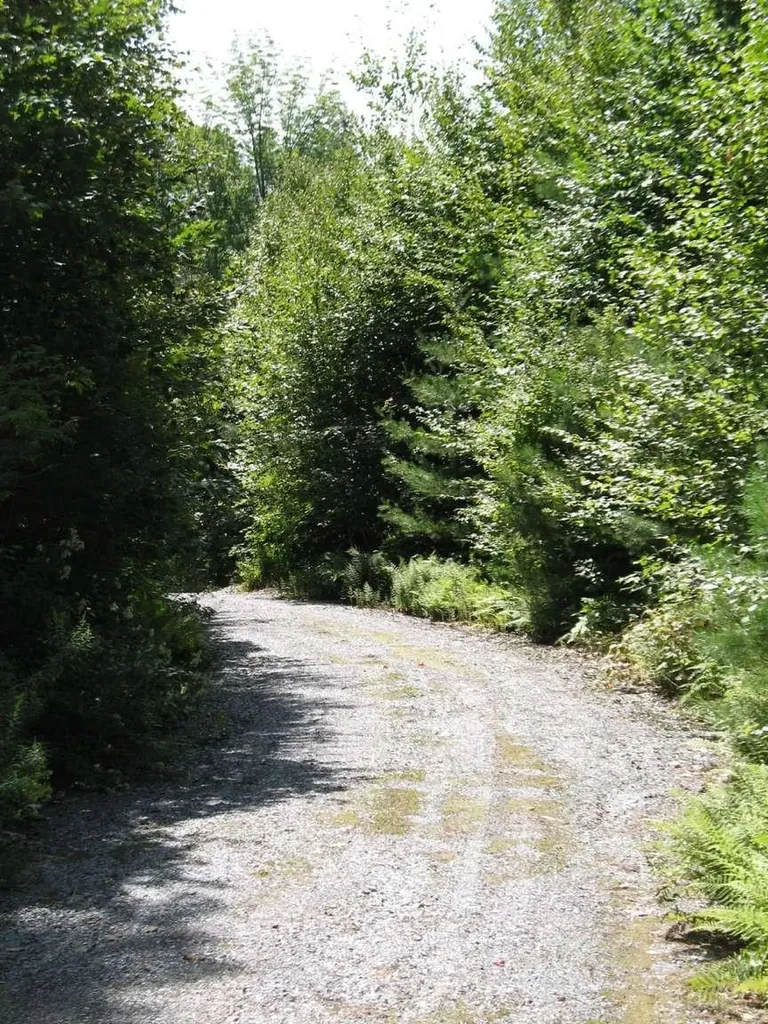 288 Graves Road Baltimore VT 05143