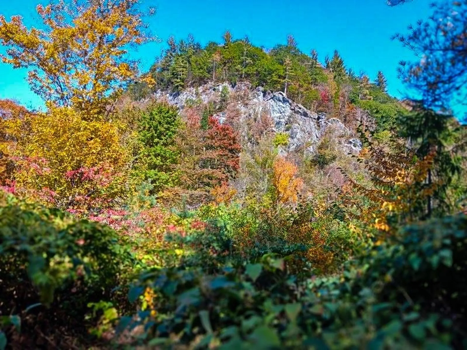 00 Churchville Road Hancock VT 05748