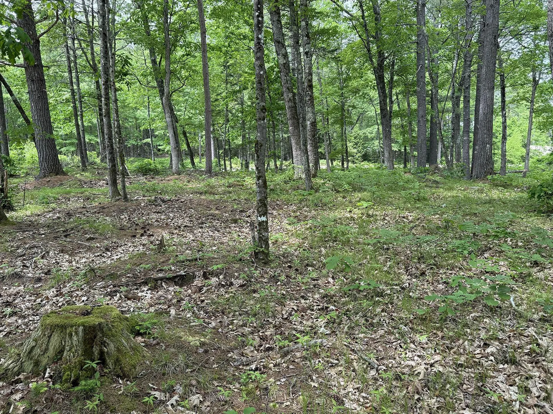 41 Winchester Lane Tuftonboro NH 03816