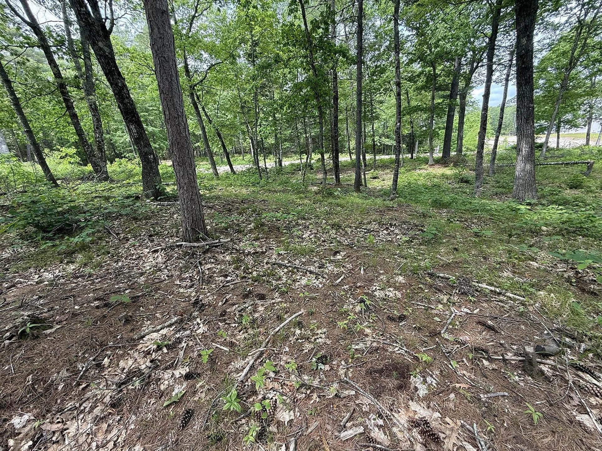 41 Winchester Lane Tuftonboro NH 03816