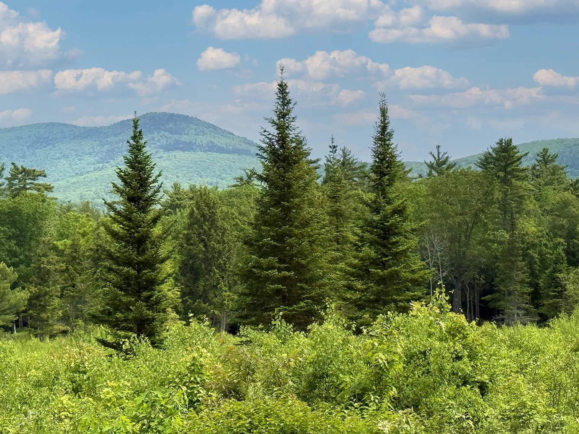 41 Winchester Lane Tuftonboro NH 03816