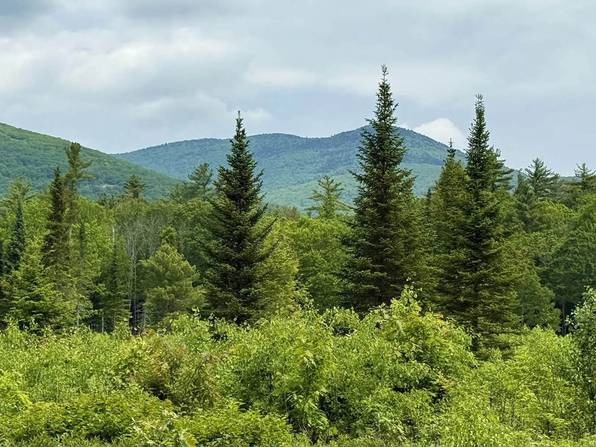 41 Winchester Lane Tuftonboro NH 03816