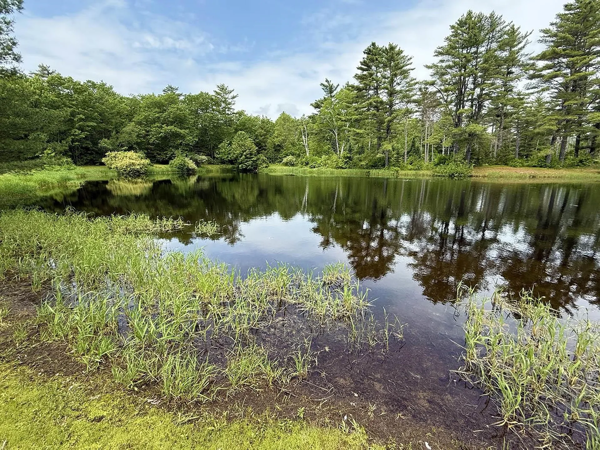 41 Winchester Lane Tuftonboro NH 03816