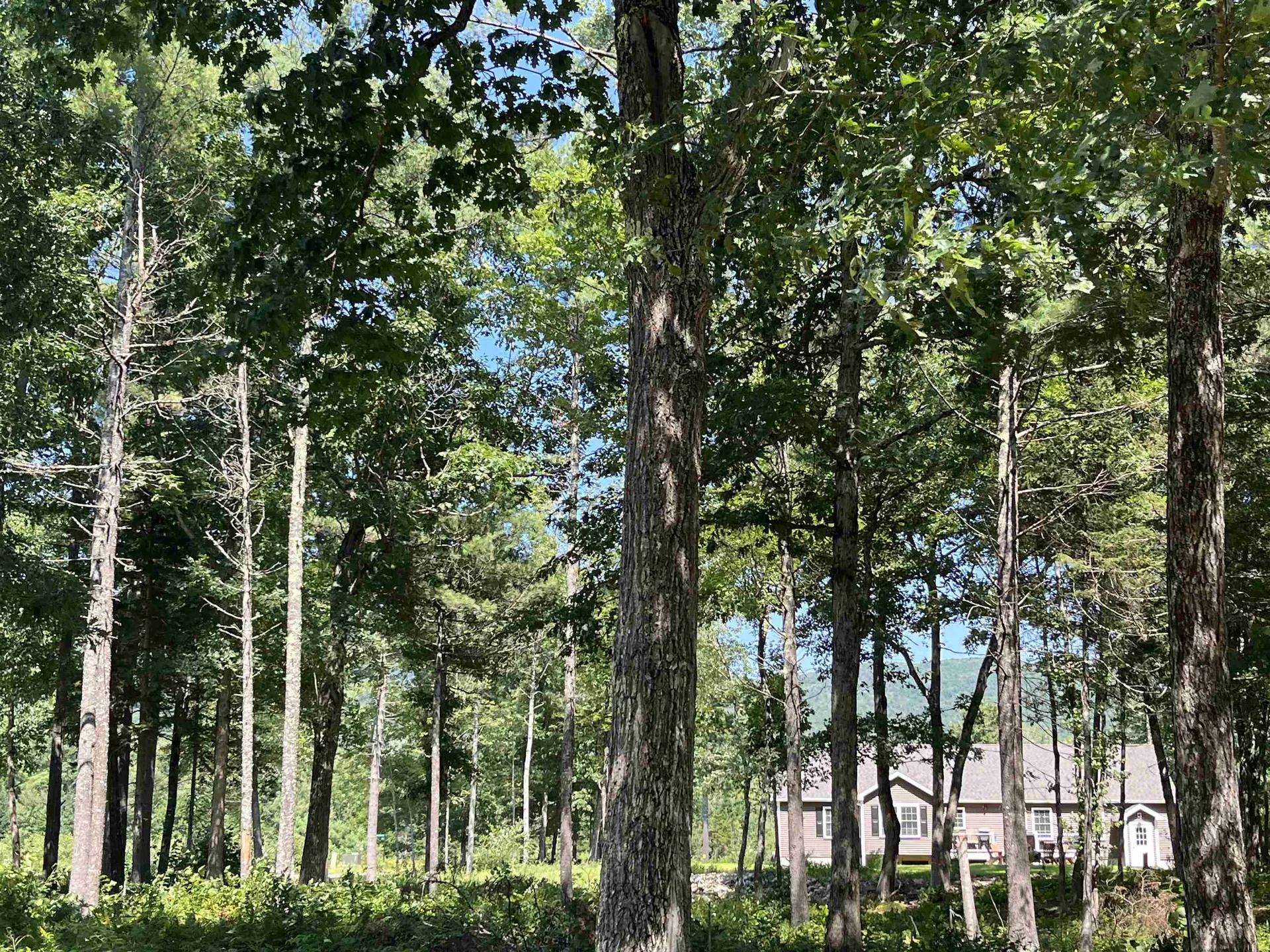 41 Winchester Lane Tuftonboro NH 03816