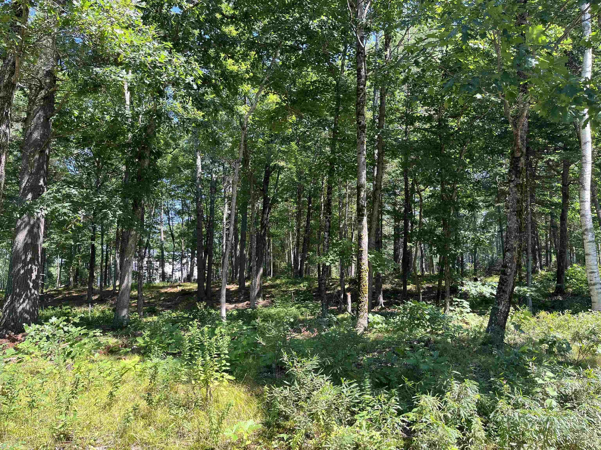 41 Winchester Lane Tuftonboro NH 03816