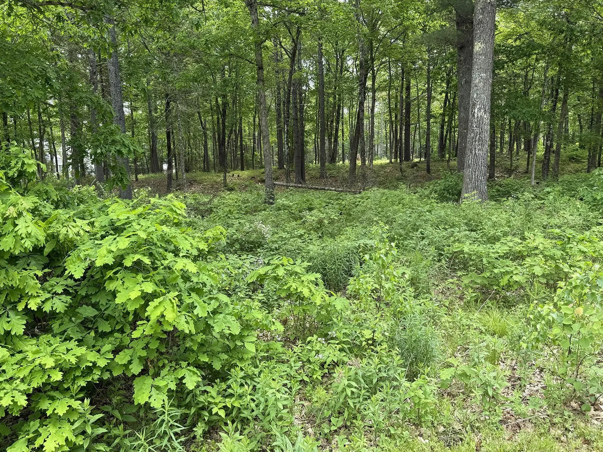 41 Winchester Lane Tuftonboro NH 03816