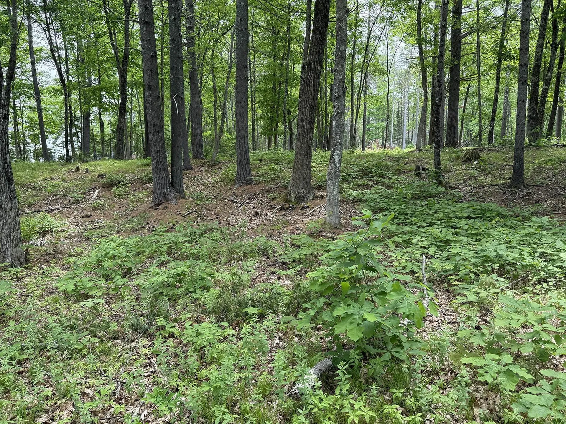 41 Winchester Lane Tuftonboro NH 03816