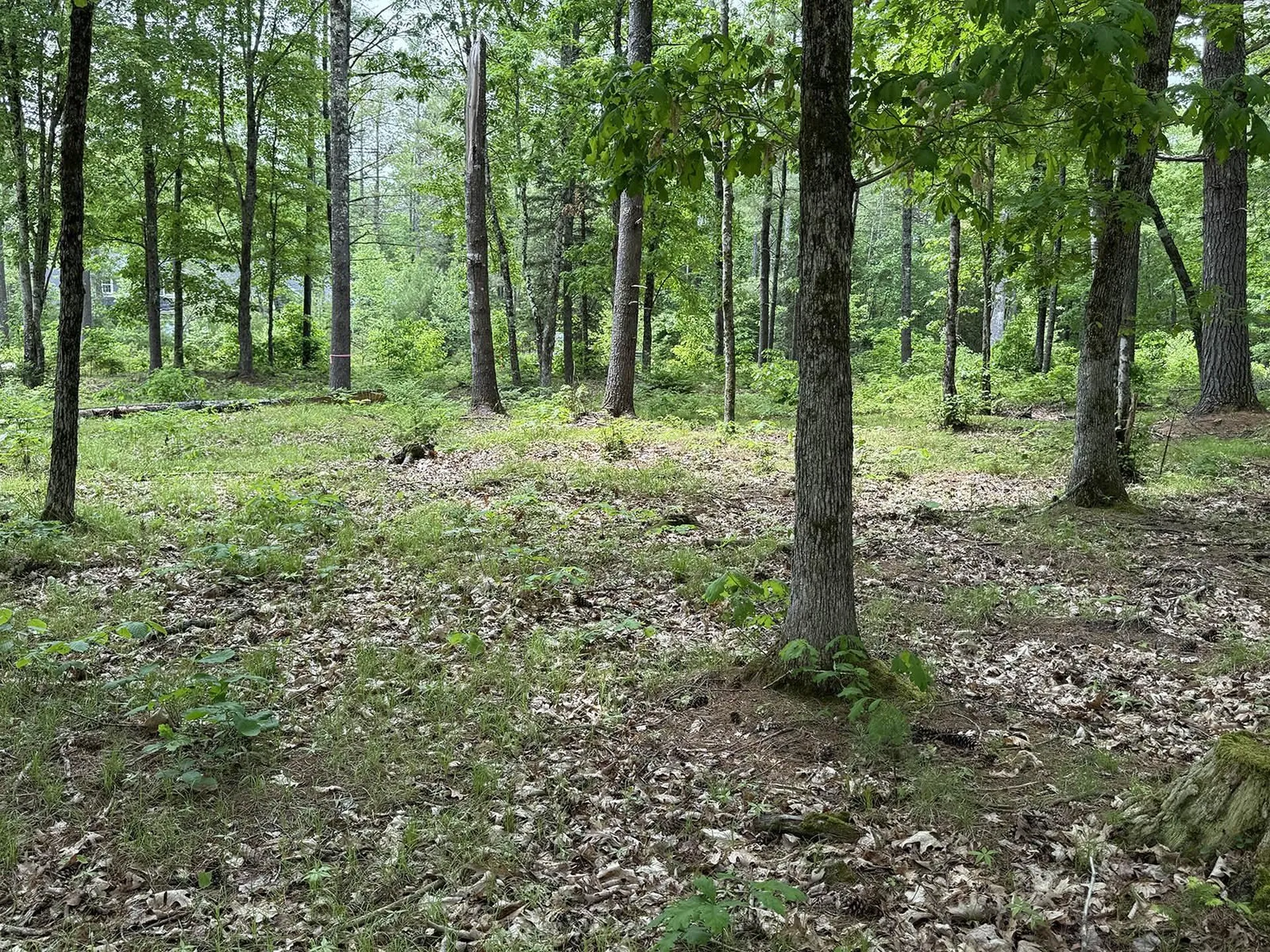 41 Winchester Lane Tuftonboro NH 03816