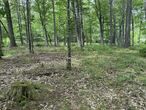 41 Winchester Lane Tuftonboro NH 03816