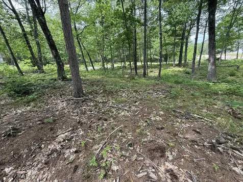 41 Winchester Lane Tuftonboro NH 03816