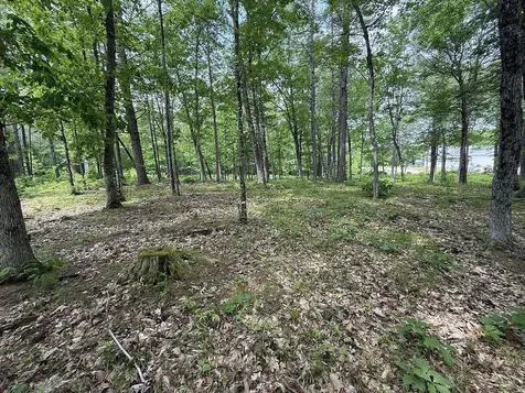 41 Winchester Lane Tuftonboro NH 03816