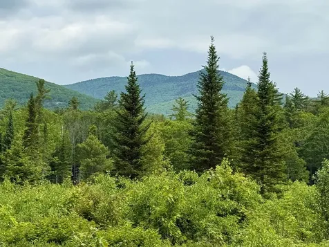 41 Winchester Lane Tuftonboro NH 03816