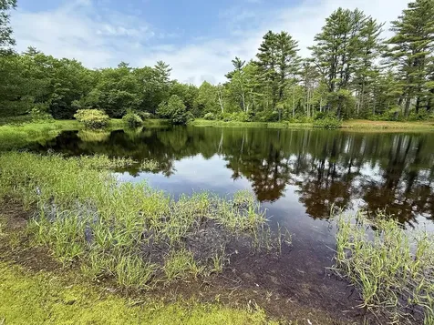 41 Winchester Lane Tuftonboro NH 03816