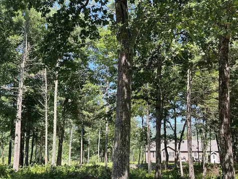 41 Winchester Lane Tuftonboro NH 03816